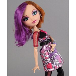 Набор кукол Холли и Поппи О'Хэйр базовые (Ever After High) Mattel фото 6