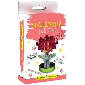 Набор для выращивания кристаллов "Волшебный цветок", бордовый