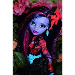 Кукла Джейн Булитл, Мрак и цветение (Monster High) Mattel фото 9