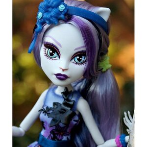 Кукла Катрин Де Мяу Цветущий Сумрак (Monster High) Mattel фото 2