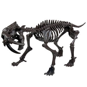 Набор для раскопок Саблезубый тигр Geoworld (Геоворлд) фото 2