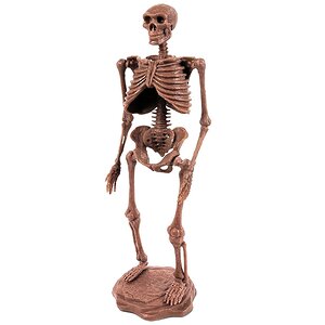 Набор для раскопок Неандерталец Geoworld (Геоворлд) фото 2