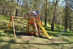 Детская игровая площадка Бретань для улицы, дерево Самсон фото 3