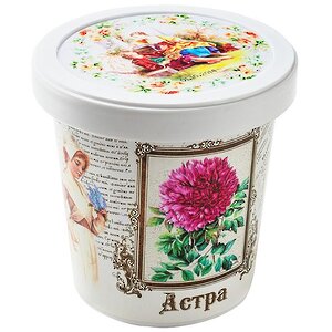 Набор для выращивания Астра