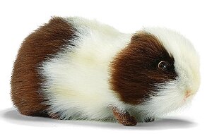 Мягкая игрушка Морская свинка бело-коричневая 20 см
