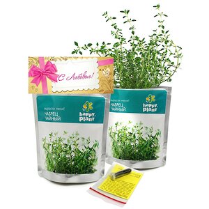 Набор для выращивания Чабрец Happy Plant (Хэппи Плант) фото 1