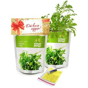 Набор для выращивания Рукола рокет Happy Plant (Хэппи Плант) фото 1