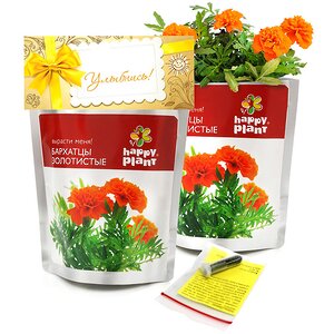 Набор для выращивания Бархатцы Happy Plant (Хэппи Плант) фото 1