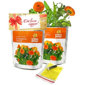 Набор для выращивания Календула Happy Plant (Хэппи Плант) фото 1
