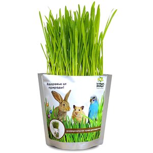 Набор для выращивания Накорми своего питомца, для животных Happy Plant (Хэппи Плант) фото 1