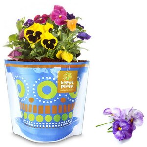 Набор для выращивания Анютины глазки Happy Plant фото 2