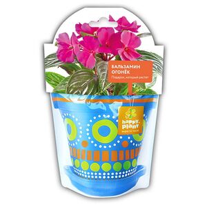 Набор для выращивания Бальзамин огонек Happy Plant фото 4