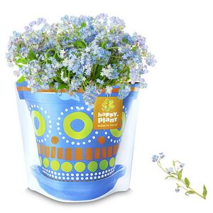 Набор для выращивания Незабудка голубая Happy Plant фото 2