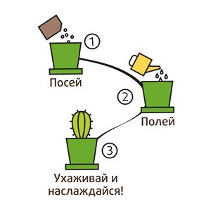 Набор для выращивания Кактус Егоза в горшке Happy Plant (Хэппи Плант) фото 3