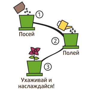 Набор для выращивания Колеус огненный в горшке Happy Plant фото 6