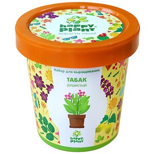 Набор для выращивания Табак душистый в горшке Happy Plant фото 7