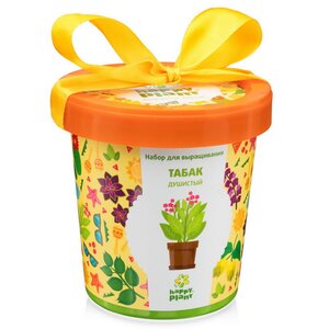 Набор для выращивания Табак душистый в горшке Happy Plant фото 1