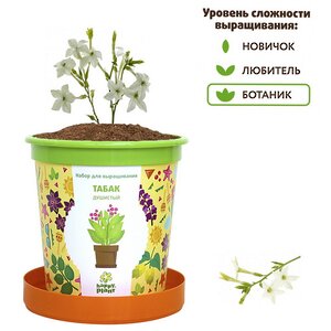 Набор для выращивания Табак душистый в горшке Happy Plant фото 2