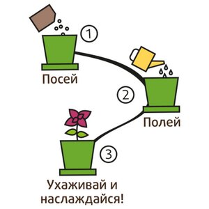 Набор для выращивания Табак душистый в горшке Happy Plant фото 6