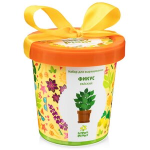 Набор для выращивания Фикус райский в горшке Happy Plant фото 1