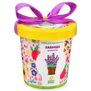 Набор для выращивания Лаванда ароматная в горшке Happy Plant фото 1