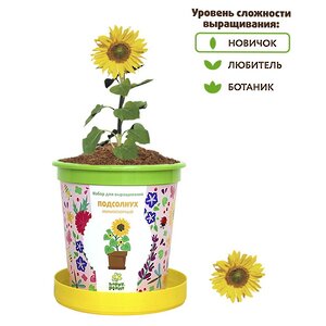 Набор для выращивания Подсолнух миниатюрный в горшке Happy Plant фото 2