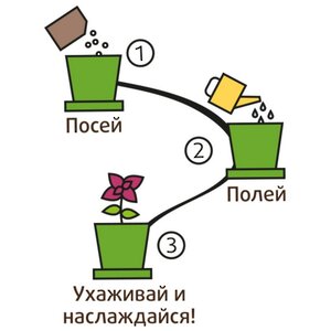 Набор для выращивания Подсолнух миниатюрный в горшке Happy Plant фото 6