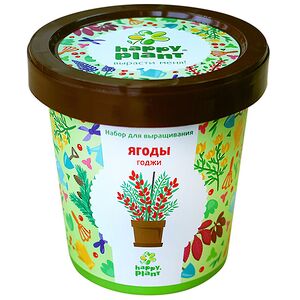 Набор для выращивания Ягоды Годжи в горшке Happy Plant фото 7