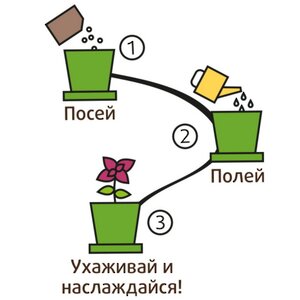 Набор для выращивания Ипомея красавица в горшке Happy Plant фото 6