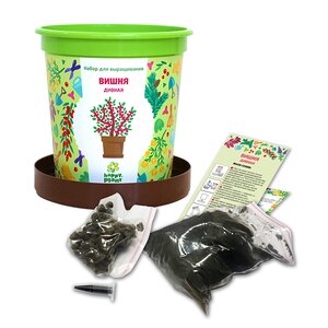 Набор для выращивания Вишня дивная в горшке Happy Plant (Хэппи Плант) фото 2