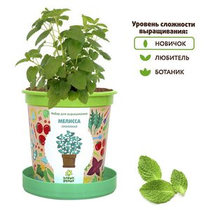 Набор для выращивания Мелисса Лимонная в горшке Happy Plant фото 2