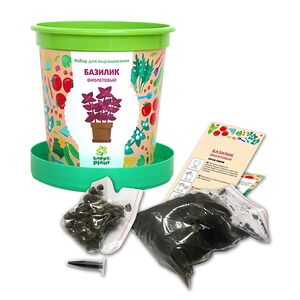 Набор для выращивания Базилик фиолетовый в горшке Happy Plant фото 2