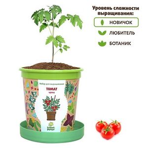 Набор для выращивания Томат Черри в горшке Happy Plant фото 2