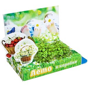 Подарочный набор Живая открытка - Лето в коробке