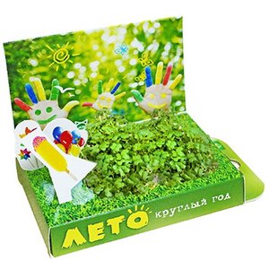 Подарочный набор Живая открытка - Лето круглый год Happy Plant фото 1