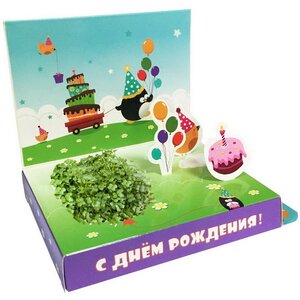 Подарочный набор Живая открытка - С Днём рождения, с пингвинчиком Happy Plant фото 1