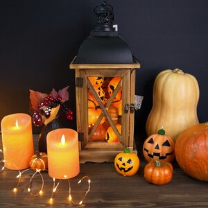 Набор свечей с имитацией пламени Ленорра Magic Flame 10-15 см, 3 шт, оранжевые, с пультом управления Peha фото 4