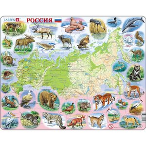 Пазл Карты и Континенты - Карта России, 100 элементов, 36*28 см