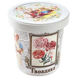 Набор для выращивания Гвоздика