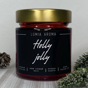 Ароматическая соевая свеча Holly Jolly 200 мл, 40 часов горения Lumia Aroma фото 3