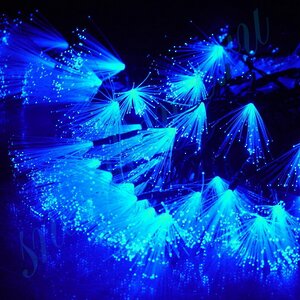 Светодиодная гирлянда Кисточки 48 синих LED ламп 6.5 м, черный ПВХ Snowhouse фото 1