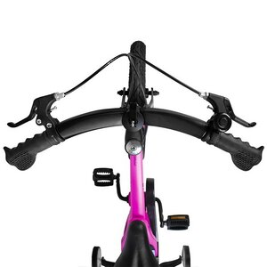 Двухколесный велосипед Maxiscoo Cosmic Delux 16" розовый Maxiscoo фото 5