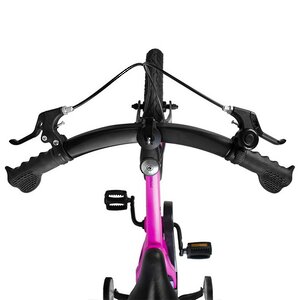 Двухколесный велосипед Maxiscoo Cosmic Delux 18" розовый Maxiscoo фото 5