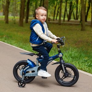 Двухколесный велосипед Maxiscoo Galaxy Delux 14" темно-синий