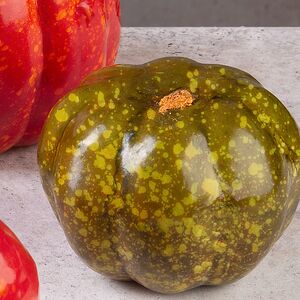 Декоративные фигурки Дары Осени с зеленой тыквой 4 шт Koopman фото 2