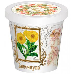 Набор для выращивания Календула