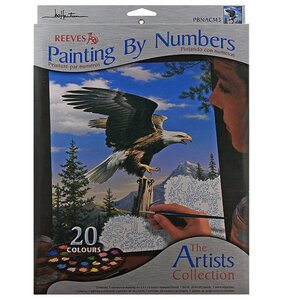 Раскраска по номерам "Орел", акриловые краски Reeves фото 2