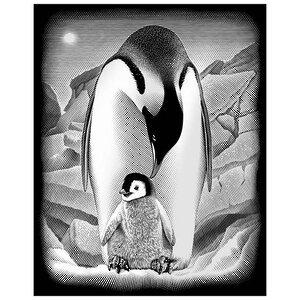 Гравюра серебряная Пингвин, 30*20 см