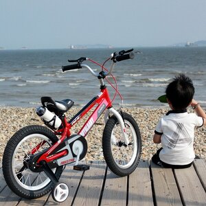 Двухколесный велосипед Royal Baby Freestyle Space 16" красный