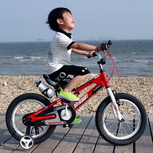 Двухколесный велосипед Royal Baby Freestyle Space 18" красный Royal Baby фото 2